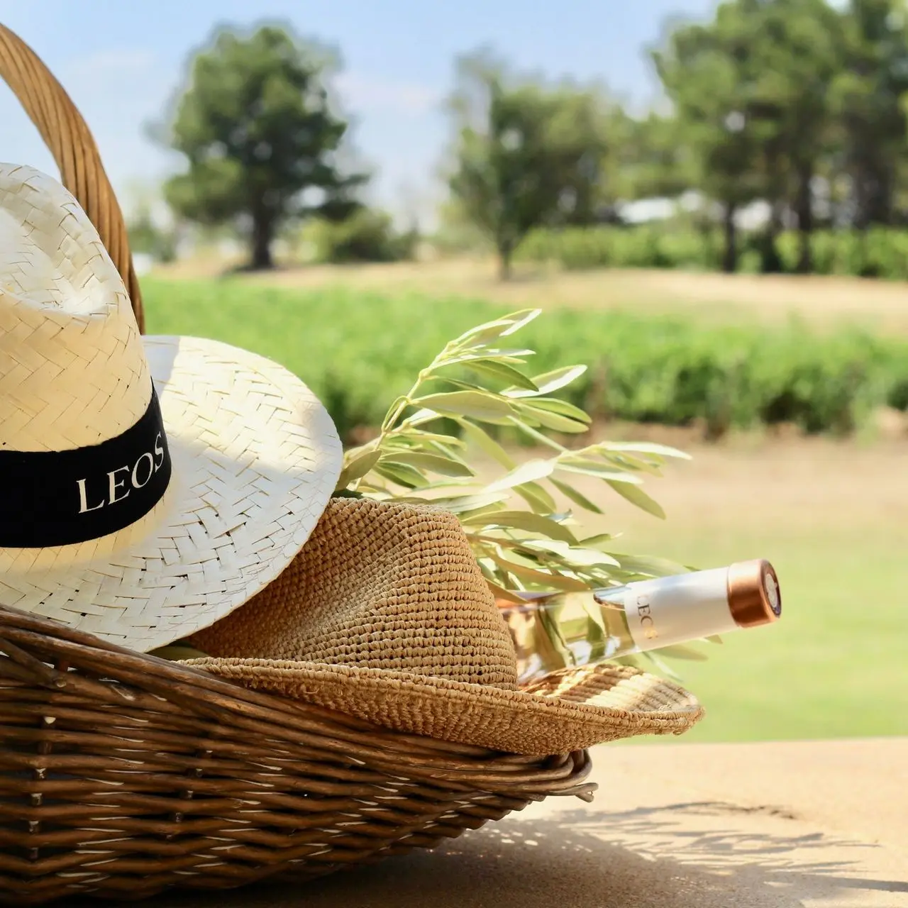 Ambiance provençale signée Vivre au Sud