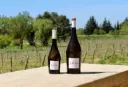 LEOS Blanc Cuvée Augusta IGP BIO 2025 75cl